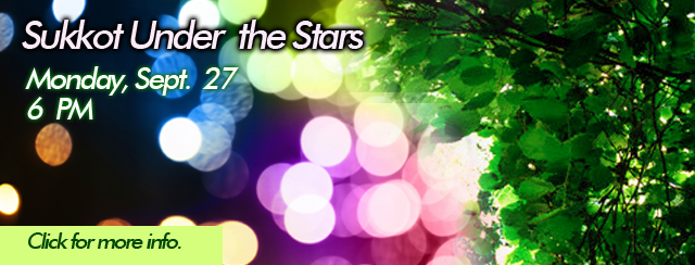 sukkotstarsBANNER.jpg